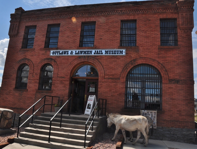 Cripple Creek building with donkeys out front